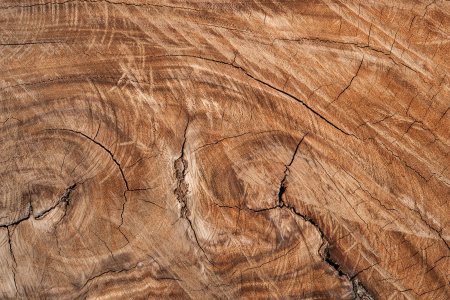 Браун Вуд (Brown Wood)