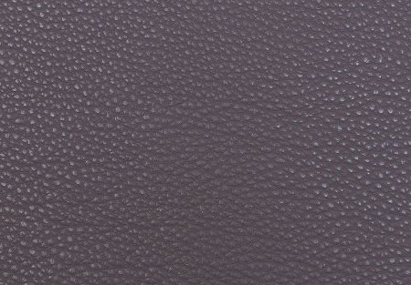 Bionica Blueberry цвет
