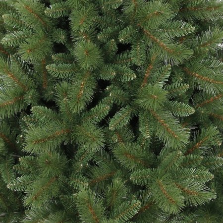 Ель Вальдбрун