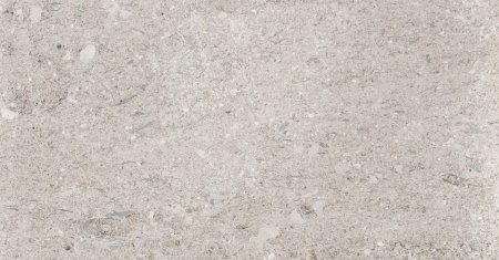 Известняк Shelly limestone