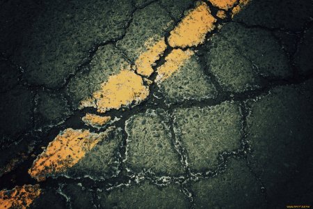 Растрескавшийся асфальт