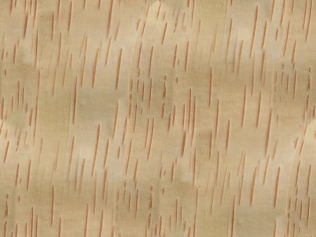 Береста фон