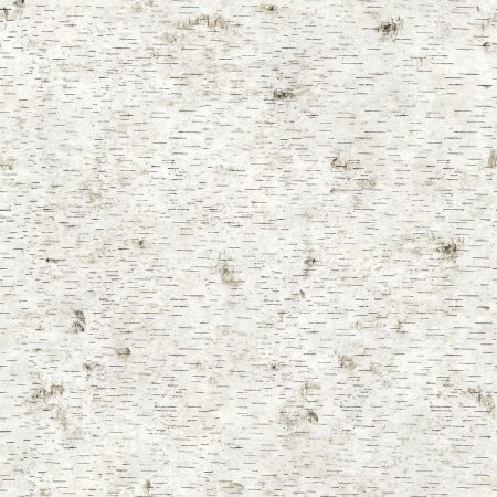 Березовая кора текстура