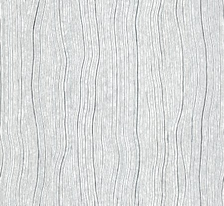 Arte monochrome 54041