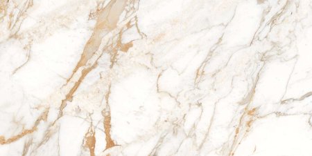 Calacatta Oro 120x60