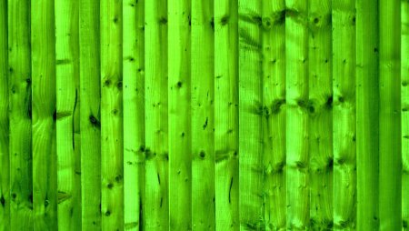 Текстура зеленого дерева (45 фото)