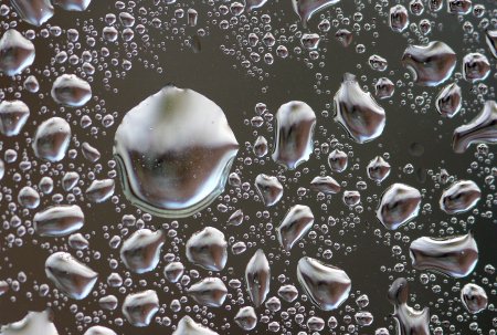 Вода под микроскопом