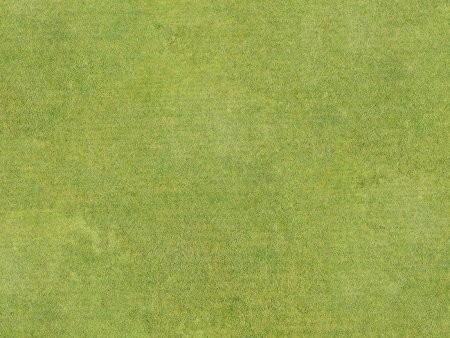 Текстура травы акварель (49 фото)