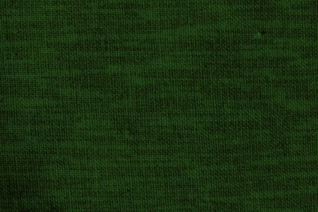 Ткань tapaluz Dark Green