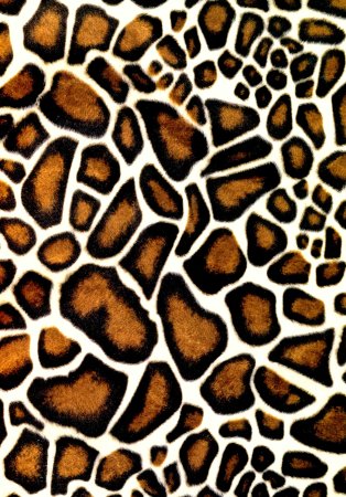 Текстура жирафа (47 фото)