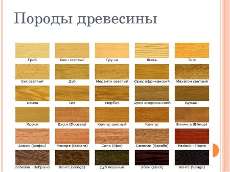 Породы древесины