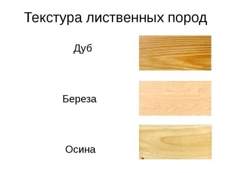 Текстура лиственных пород древесины