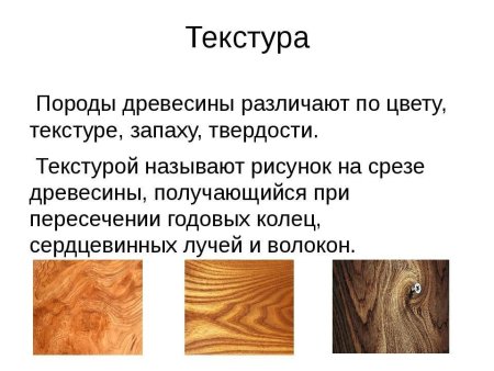 Образцы древесины