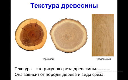 Древесина и древесные материалы