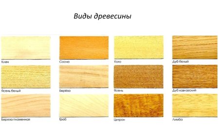 Внешний вид древесины разных пород