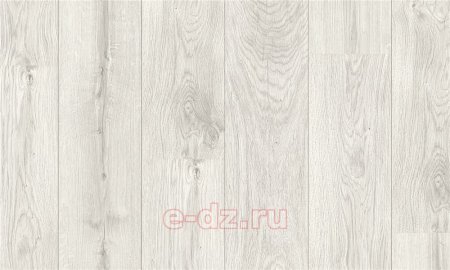 Plank 4v l1211-01807