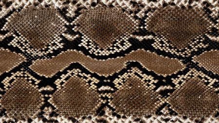 Dragon Skin – «шкура дракона»