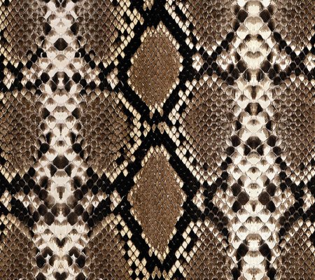 Текстура кожи змеи (49 фото)