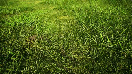 Tundra Terrain texture