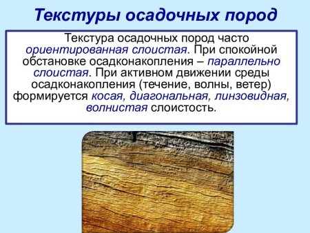 Структура и текстура осадочных горных пород