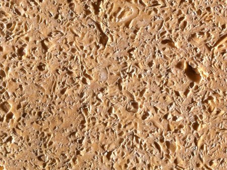 Каспийский ракушечник