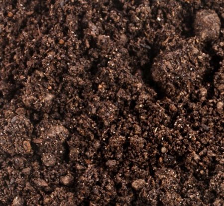 Торф низинный, навал