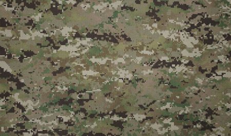 Digital Multicam