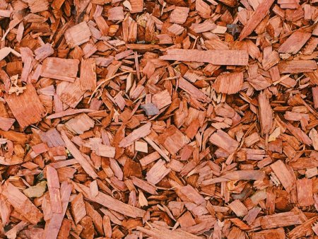 Кора мульча текстура