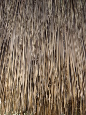 Текстура соломы для крыши