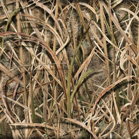 Камуфляж камыш Realtree