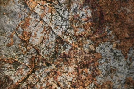 Беспорядочная текстура горных пород