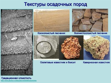 Структура осадочных горных пород