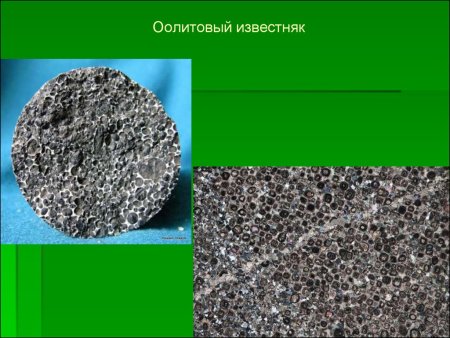 Брахиоподовый известняк