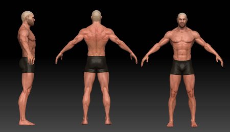 Референс человека в полный рост для 3d моделирования