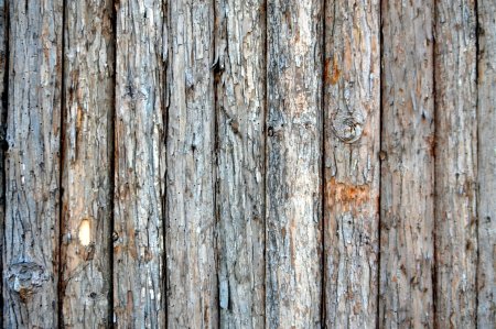 Текстура деревянного забора (49 фото)