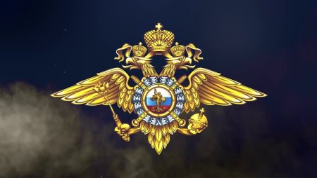 Министерство внутренних дел Российской Федерации герб