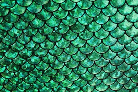 Текстура чешуи рыбы (49 фото)
