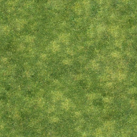 Grass texture бесшовная