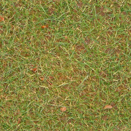 Grass texture бесшовная