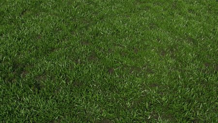 Grass 3ds Max