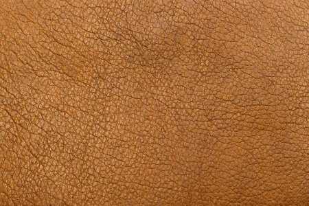 Текстура кожи для блендера (47 фото)