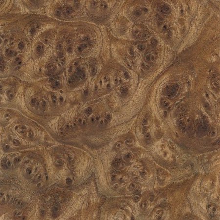 Elm Burl (корень светлый) 046