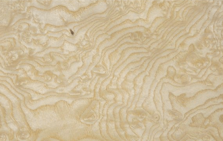Elm Burl (корень светлый) 046