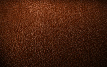 Skin Pore Alpha Zbrush