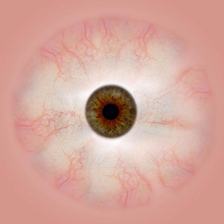 Текстура глаза