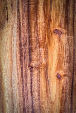 Acacia mangium древесина