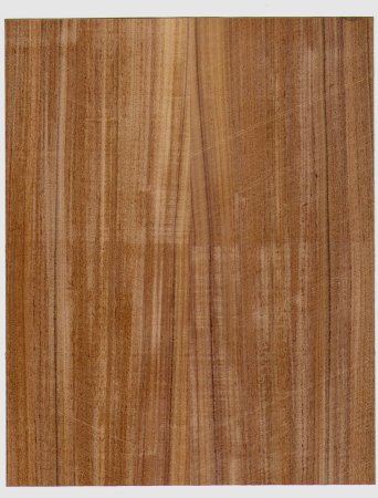 Древесина эвкалипт Eucalyptus шпон