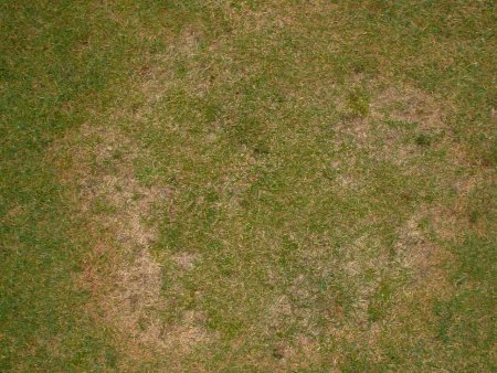 Текстура земли для Blender