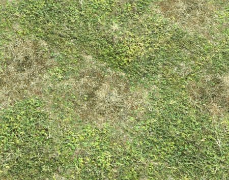 Текстура травы Terrain Unity