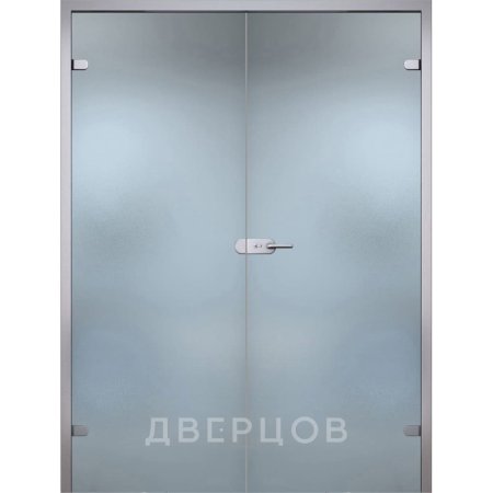 Стеклянные двустворчатые двери